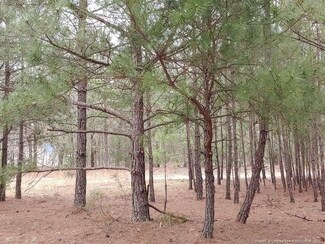 709 Tanager Dr, Vass, NC 28394