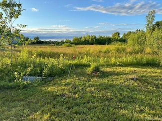 0000 Division Rd, Columbus, MI 48063