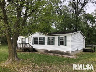 804 Tyler Ave, Sandoval, IL 62882