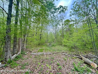 0 T-514, Greenfield Township, PA 18407