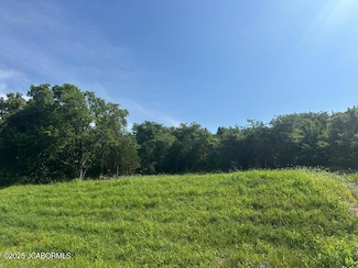 2235 Lorenzo Greene Dr, Jefferson City, MO 65101