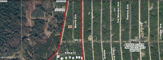 0 Morris Ave, Interlachen, FL 32148