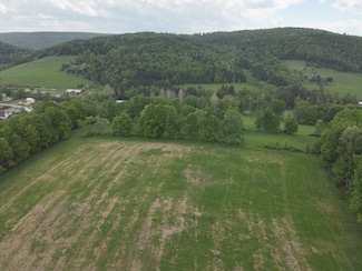 0 Route 4008 Unit 11264997, Forksville, PA 18616