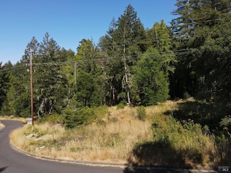 1 Meadow View Ln, San Geronimo, CA 94963