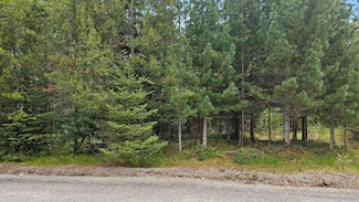 Lot 11 Cougar Run, Priest Lake, ID 83856