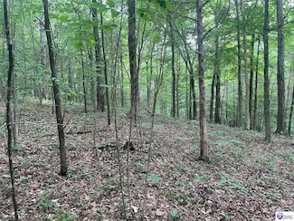 0 Barton Ferry Rd, Caneyville, KY 42721
