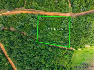 TBD Indian Mound Lake Lots 13 14 and 15, Hawkins, TX 75765