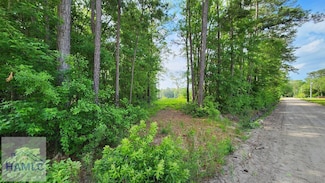 0 Carlyene Dr Unit 160391, Midway, GA 31320