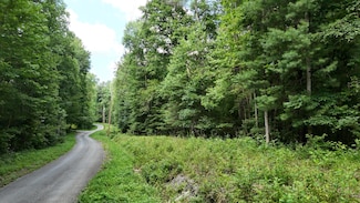 Lot 13/14 Clifton Cemetery Rd, Spring City, TN 37381