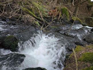 78592 U S 2, Moyie Springs, ID 83845