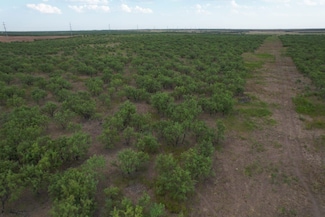 0 Tbd Hwy 6, Lueders, TX 79533