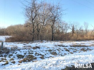 Lot 307 Pin Oak Ct, Persifer Township, IL 61428
