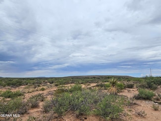 36 SEC 5 Psl Sierra Prieto #67 Lot 7, Sierra Blanca, TX 79851