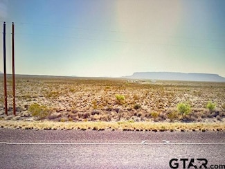15132 Texas 118, Terlingua, TX 79852
