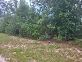 00 Cherry Cir, Marianna, FL 32448