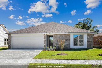 1192 Marlena Meadows Dr, Gonzales, LA 70737