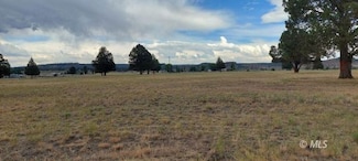 Lot 47 Blk 14 Lu1b Honey View Dr, Alturas, CA 96101