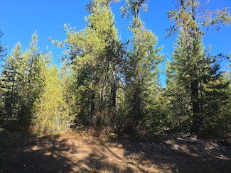 XXX Red Tail Way, Colville, WA 99114