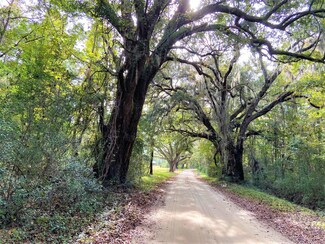 0 Old Georgetown Rd Unit 21029732, McClellanville, SC 29458