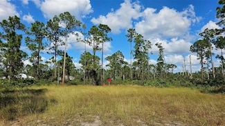 815 Tuba Ct, Lehigh Acres, FL 33974