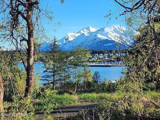 Lot 7 Barnett St W, Haines, AK 99827