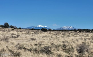 1124 N Grand Canyon Ranches Rd Unit 4, Williams, AZ 86046