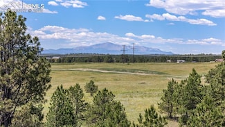 17475 Twinkling Star Ln, Black Forest, CO 80908