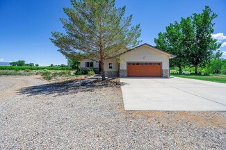 3315 C 1 2 Rd, Palisade, CO 81526