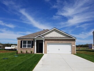 226 Addison Ave, Chapel Hill, TN 37034
