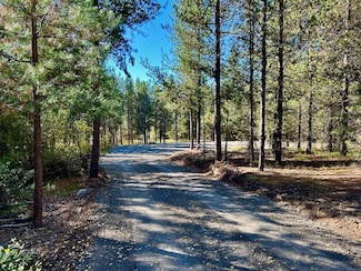 Lot 1 Sawtooth Loop Unit Lot 1, Cascade, ID 83611