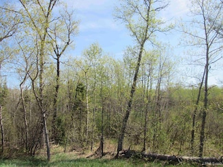 TBD U S 141 Unit Lukes Road, Amasa, MI 49903