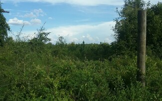 0 NW Jim Willis Rd Unit 101838, Mayo, FL 32066