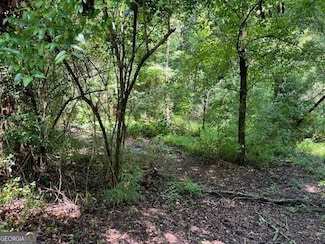 127 S Ole Hickory Trail, Carrollton, GA 30117