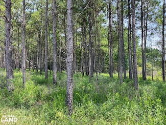 0 Ccc Rd, Lucedale, MS 39452