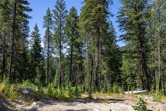 1286 Coon Hollow Rd, Kila, MT 59920