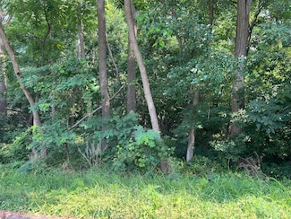 Lot 60 & 61 Paul St W, Nunda Township, IL 60051