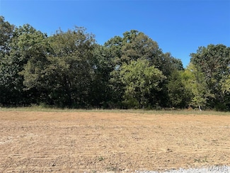 Lot 35 Holt Acres Ct, Wentzville, MO 63385