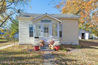 231 Mechanic St, Mason, MI 48854