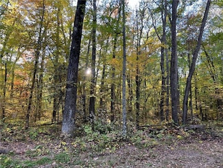 3459 103rd St, Bone Lake, WI 54837