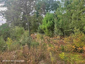 200 W Park Rd, Hayes Township, MI 48625