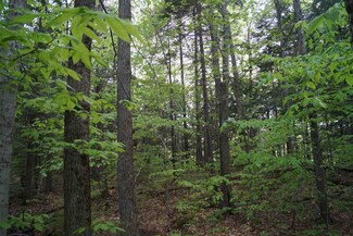 0 Union Brook Rd, Northfield, VT 05663