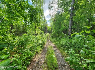 10392 S Ridge Rd, Big Lake, AK 99623