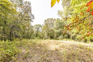 0 Kowaliga Rd Unit 548137, Eclectic, AL 36024