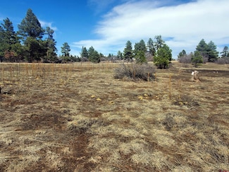 1346 Trails Blvd, Pagosa Springs, CO 81147