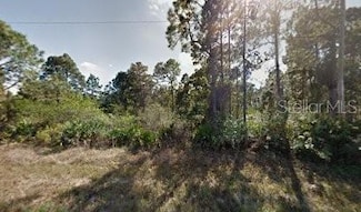 1118 Cove St E, Lehigh Acres, FL 33974