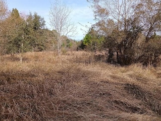 0 Wheatcroft Rd E Unit 7595132, Grand Bay, AL 36541