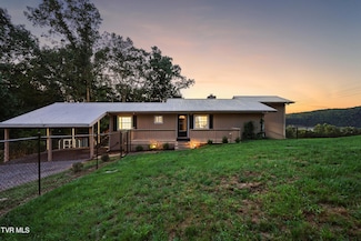 117 Trail Ln, Gray, TN 37615