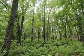Lot 1 CSM 2309 Deer Run, Packwaukee, WI 53949