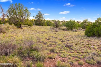212 S Palmetto Rd, Valle, AZ 86046