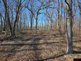 0 Tbd Lemond Rd, Ellendale, MN 56026